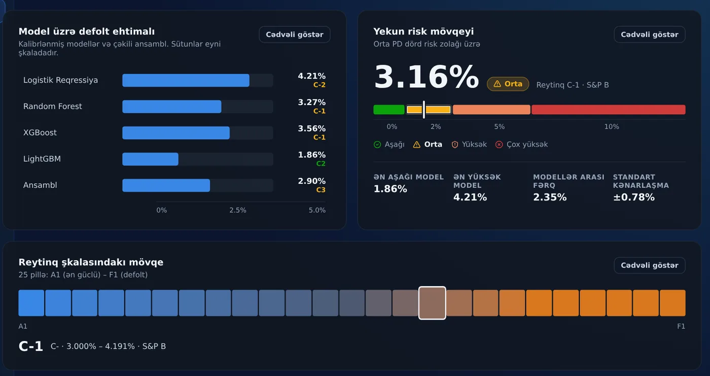 Risk paneli