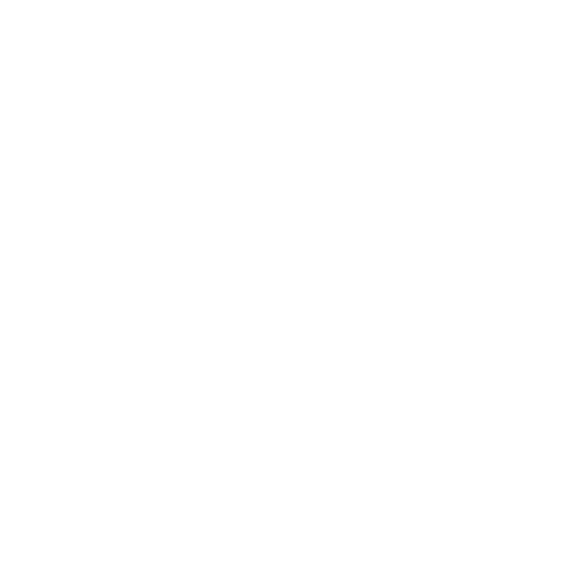 IT Audit